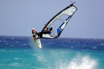 Windsurfer